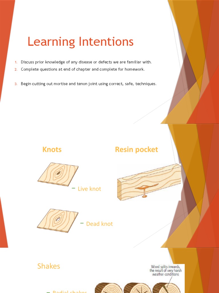 Understanding Wood Defects and Treatments | PDF