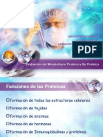 Evaluación del Metabolismo Proteico y No Proteico: Funciones de las Proteínas y Síntesis y Degradación