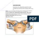 Articulación Costoclavicular