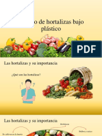 Cultivo hortalizas bajo plástico