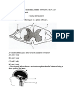 Biology Tutorial Sheet g12 PDF