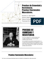 Pruebas de Gravedad y Resistencia