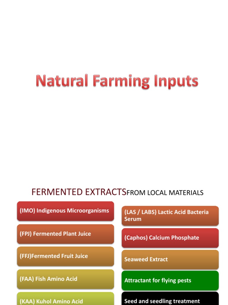 Natural Farming Inputs PDF Soil Lactic Acid