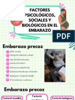 Factores Psicológicos, Sociales y Biológicos en El Embarazo