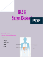 Bab 8 Sistem Ekskresi