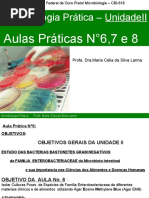 Aula Prática Unidade II