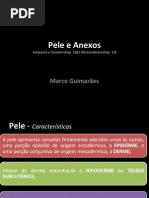 Pele e Anexos