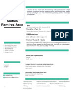 CV Real Example Spanish