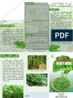 Leaflet Budidaya Bayam