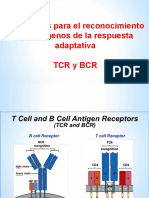 Receptores TCR & BCR