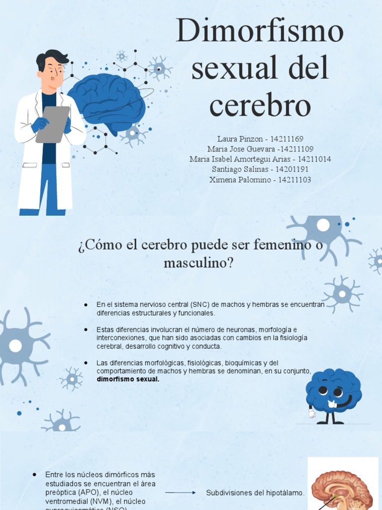Dimorfismo Sexual Descargar gratis PDF Sexo Cerebro