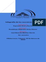 Comunicación y Neurotransmisores