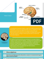 Evaluación Neuropsicológica