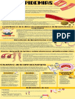 Hiperlipidemias (farmacología)