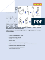 21 - 01 - 2023 Pausas Activas