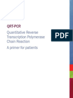 QRT PCR Primer