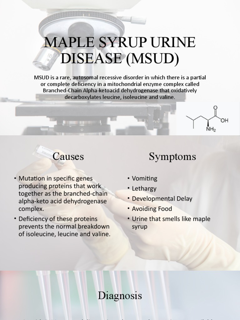 Maple Syrup Urine Disease (Msud) PDF Medical Specialties Clinical