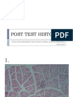 Histologi post test muskuloskeletal