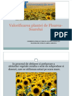 vdocumente.com_utilizarea-deseurilor-rezultate-din-prelucrarea-plantei-de-floarea-soareluistoian