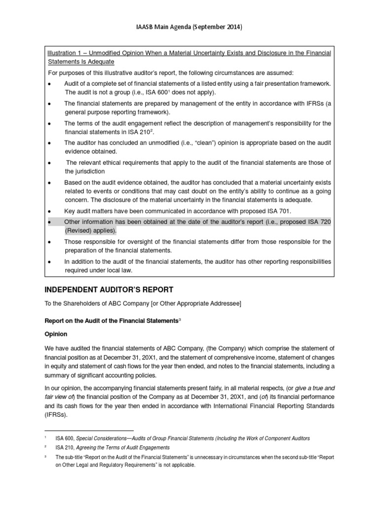 Going Concern Uncertainty Disclosure | PDF | Financial Audit | Going ...