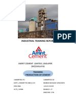 Amrit Cement Industrial Report