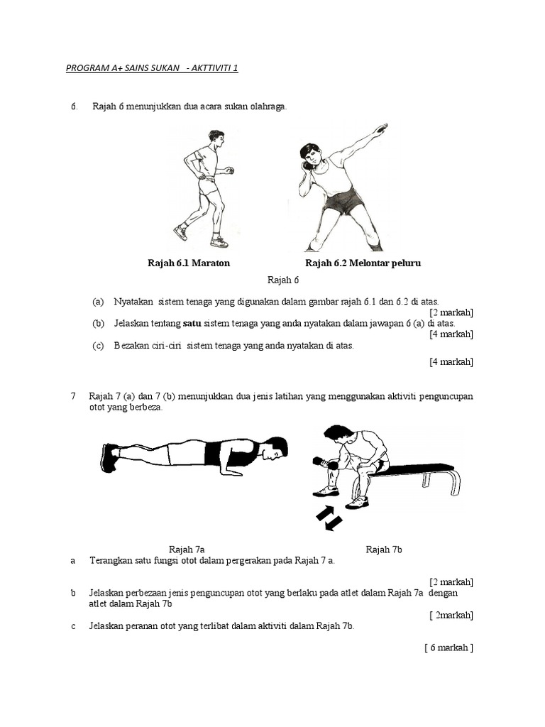Program A+ Aktiviti 1 | PDF