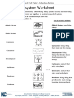 Ecosystem Worksheet 2