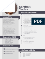 Professional CV Resume