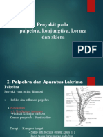 Penyakit Pada Palpebra, Konjungtiva, Kornea Dan Sklera