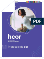 17 Protocolo de Dor