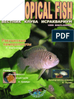My Tropical Fish 1_2006