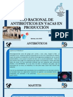 Uso Racional de Antibióticos en Vacas en Producción PDF