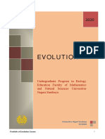 Portofolio Evolusi