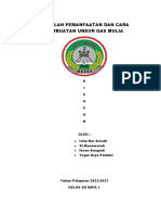 Makalah Pemanfaatan Dan Cara Pembuatan Unsur Gas Mulia