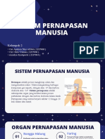 Sistem Pernafasan Pada Manusia