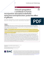 Angiotensin II-induced Upregulation