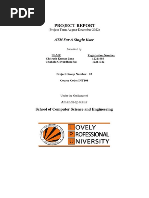 Python Report