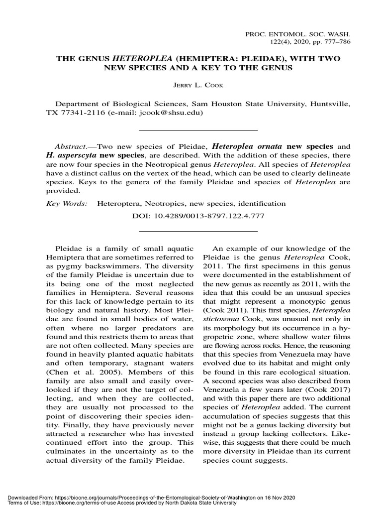 New Heteroplea Species in Pleidae | PDF | Anatomical Terms Of Location ...