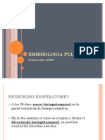 Embriología Pulmonar