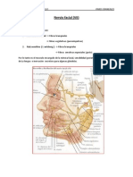 Anatomía y funciones del nervio facial VII