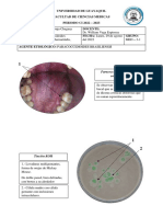 PRACTICA N°10 - PLASTILINAS - PARACOCCIDOIDES BRASILIENSIS, BLASTOMYCES DERMATITIDIS, COCCIDIOIDES IMMITIS - Kevin Albuja