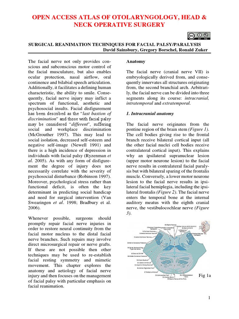 Open Access Atlas – Atlas Of Otolaryngology Pdf – ATLG