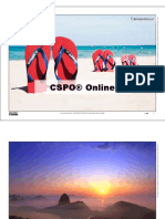 CSPO Online Slides EN