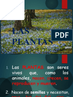 Plantas