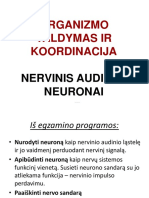 1 - 12-A-Neuronai