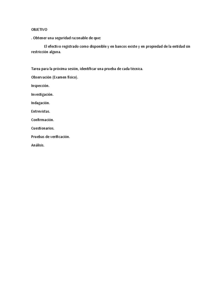 clase-08-10-tecnicas-de-auditorias-pdf