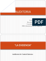 Auditoría interna evidencia