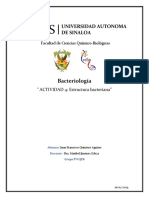 Estructura Bacteriana