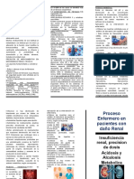 Triptico Proceso Enfermero en Pacientes Con Daño Renal