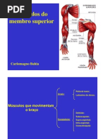 Carlo MusculosMembroSup